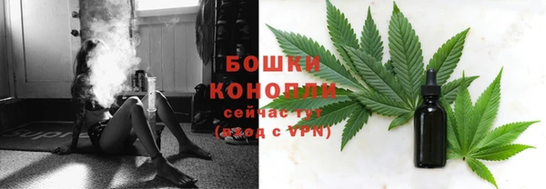 СК Касимов