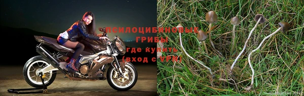 бошки Карталы