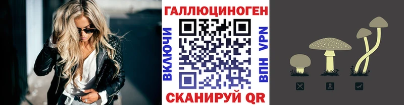 Псилоцибиновые грибы мухоморы  Купить закладки  Циолковский 