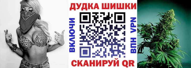Бошки Шишки план  Купить закладки  Циолковский 